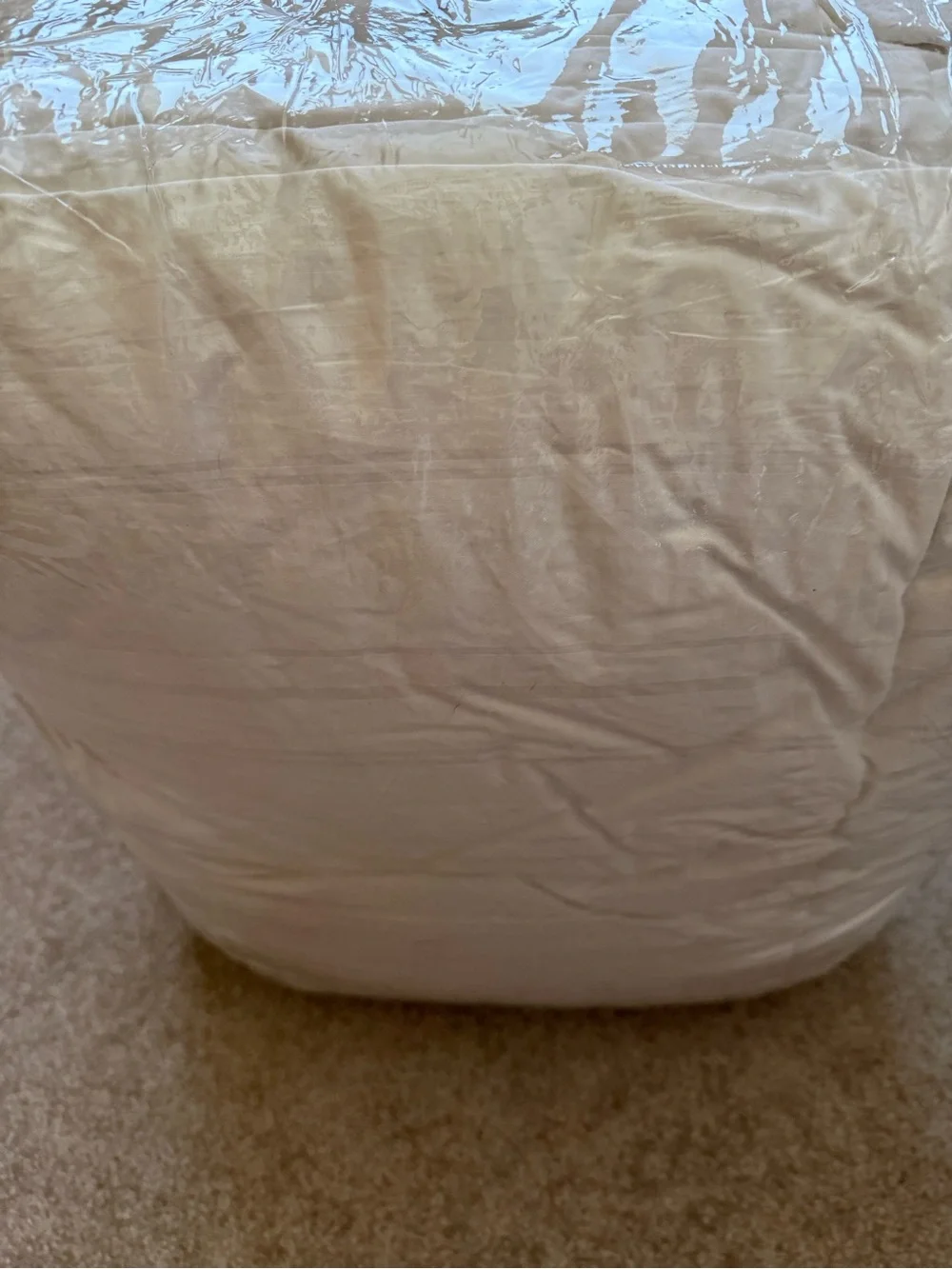 Casaluna Cream All-Season Down Comforter